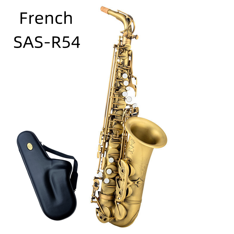 Sassofono Contralto Profession - Musical Instrument Reed recensione e prezzo