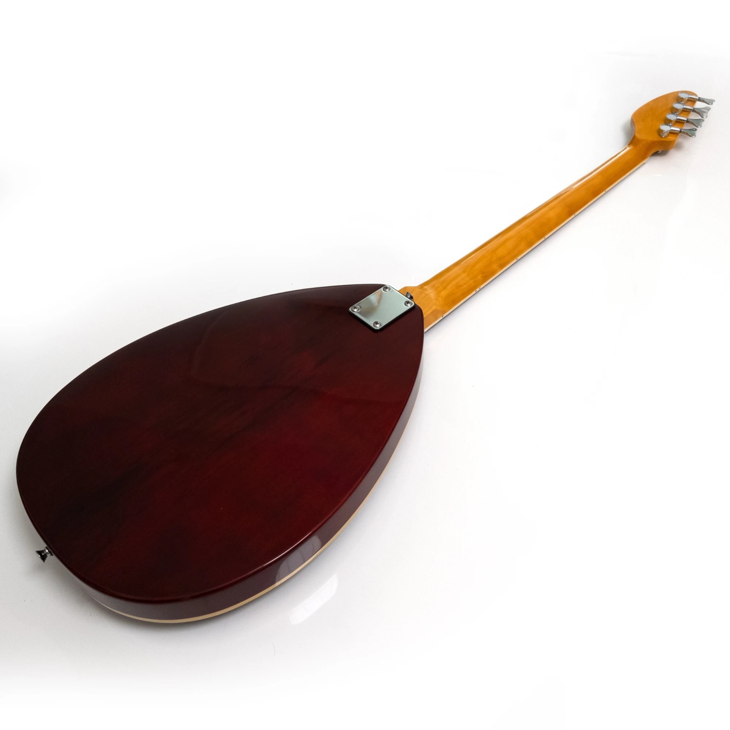 Basso elettrico a 4 corde con  - Bass Guitar Fretless recensione e prezzo