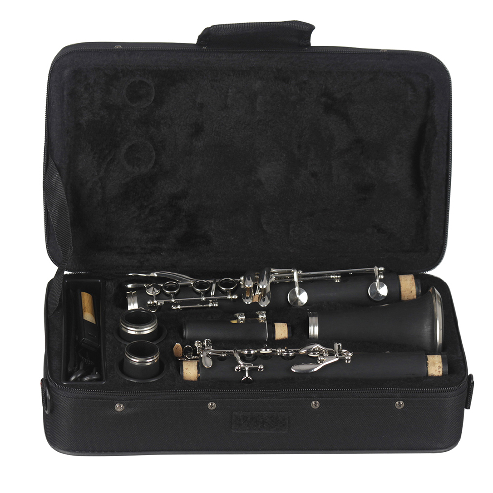 SLADE Clarinetto in Sib 17 tas - Musical Instrument Reed recensione e prezzo