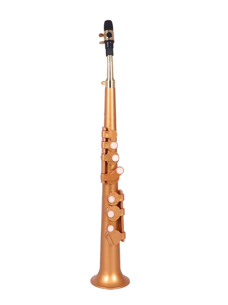Sassofono Littlesax Pocket Sax - Musical Instrument Reed recensione e prezzo