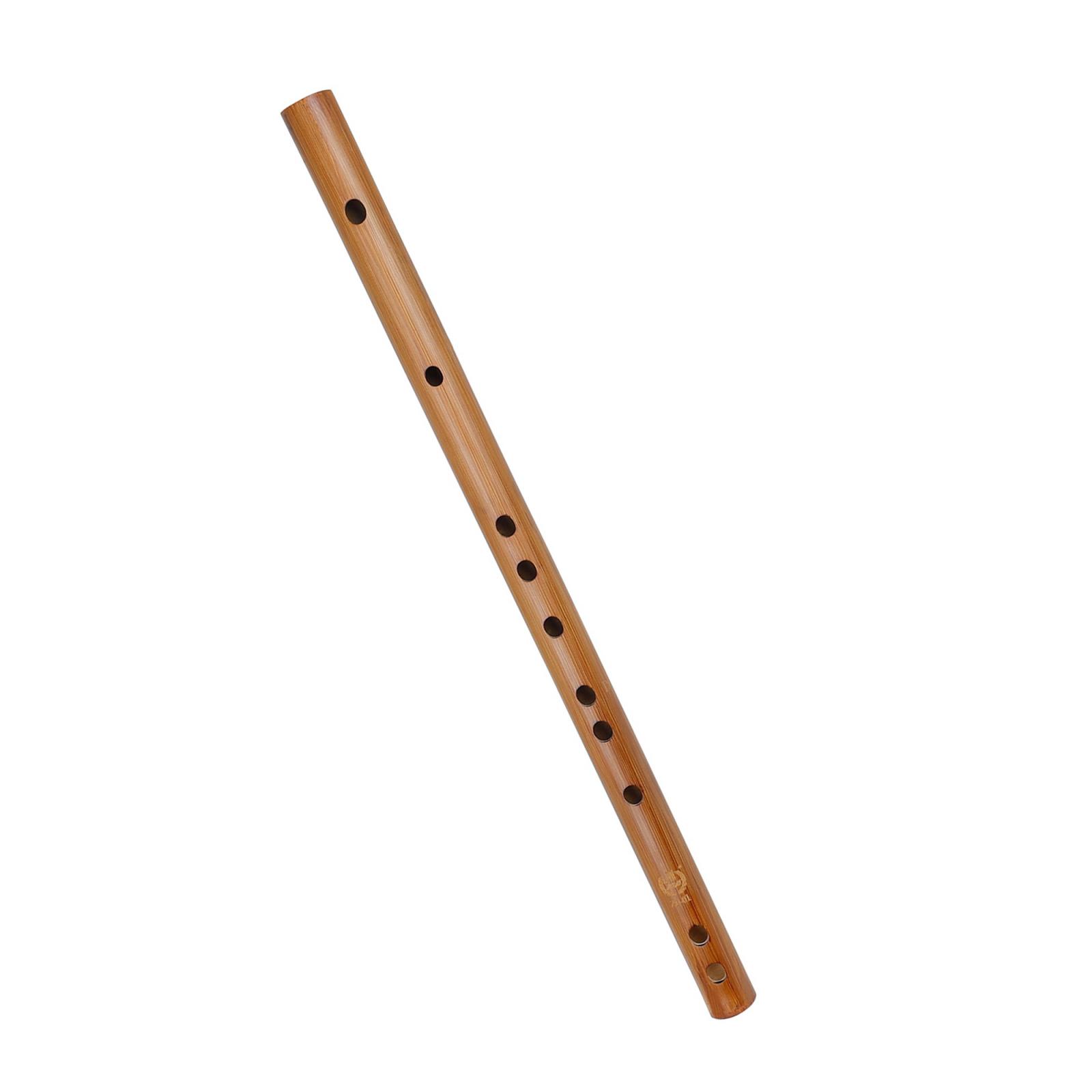 Regalo di compleanno unico, fl - Musical Instrument Indian recensione e prezzo
