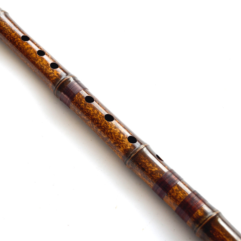 Flauto Verticale in Bambù Viol - Musical Instrument In Chinese recensione e prezzo