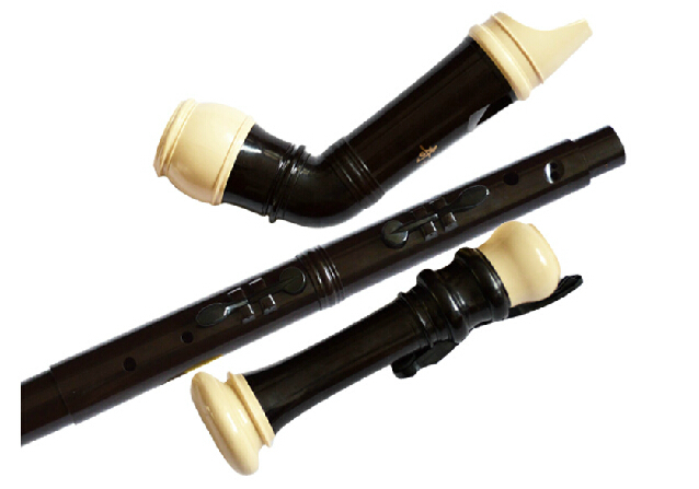 Clarinetto professionale in re - Musical Instrument In Chinese recensione e prezzo