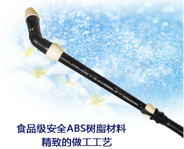 Clarinetto professionale in re - Musical Instrument In Chinese recensione e prezzo