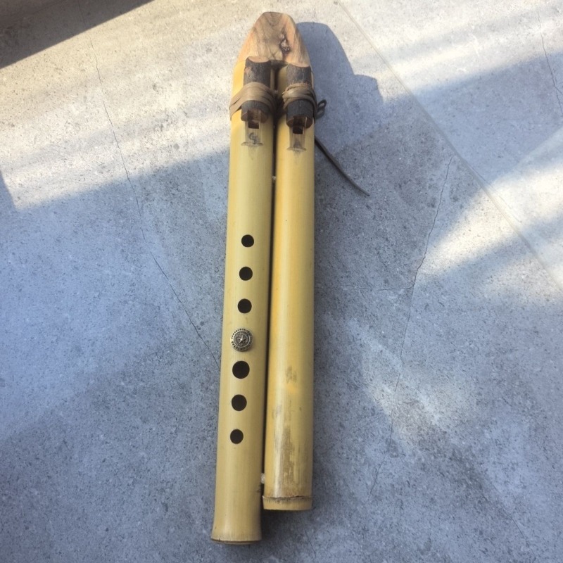 Flauto a doppio tubo GA fatto  - Musical Instrument Indian recensione e prezzo