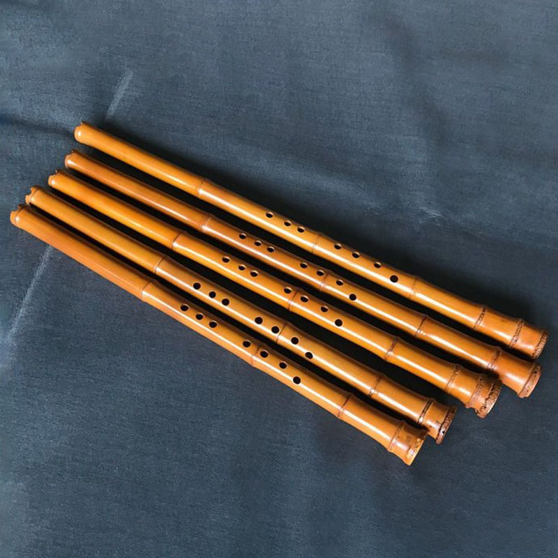 Bambù a 8 fori Xiao Performanc - Musical Instrument In Chinese recensione e prezzo
