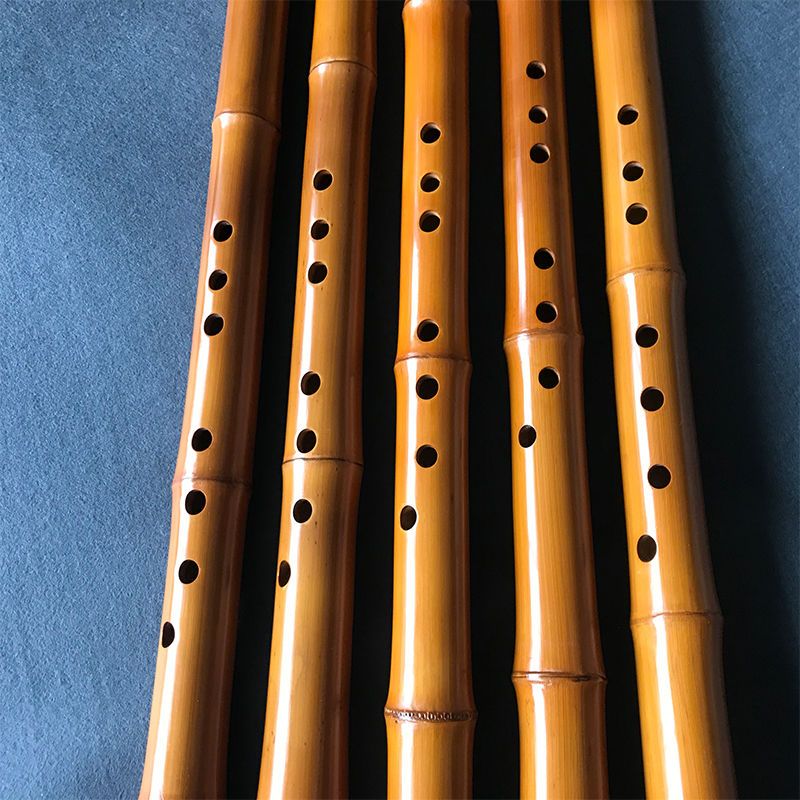 Bambù a 8 fori Xiao Performanc - Musical Instrument In Chinese recensione e prezzo