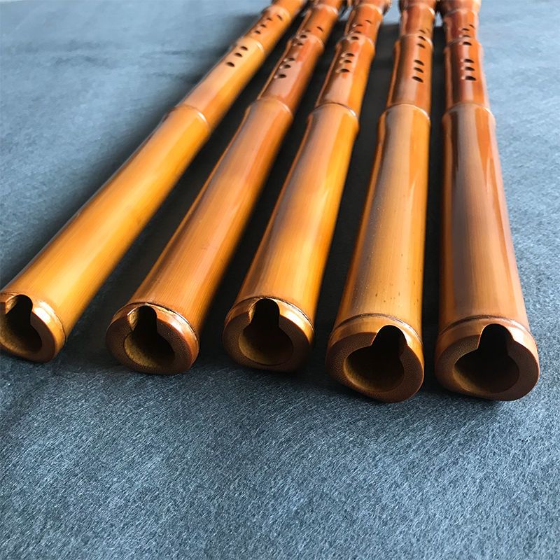 Bambù a 8 fori Xiao Performanc - Musical Instrument In Chinese recensione e prezzo