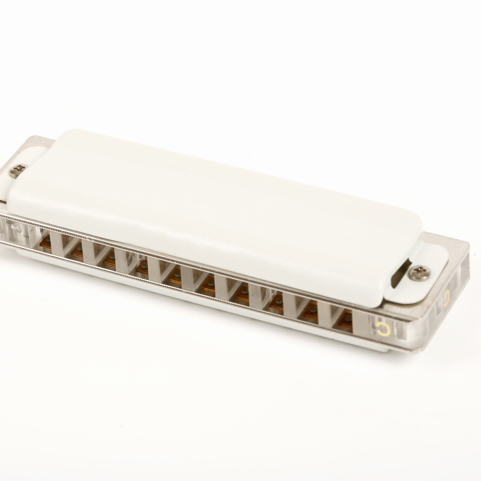 East top 10 fori armonica prof - Musical Instrument Reed recensione e prezzo