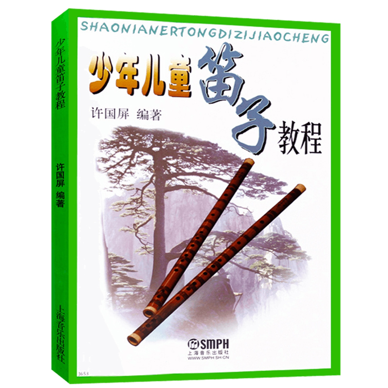 Bambini adulti Adolescenti Diz - Musical Instrument In Chinese recensione e prezzo