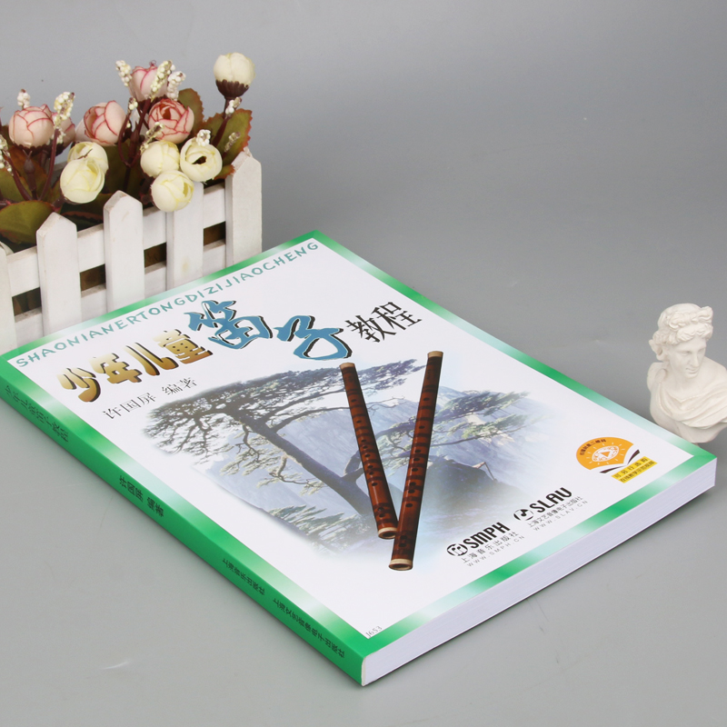 Bambini adulti Adolescenti Diz - Musical Instrument In Chinese recensione e prezzo