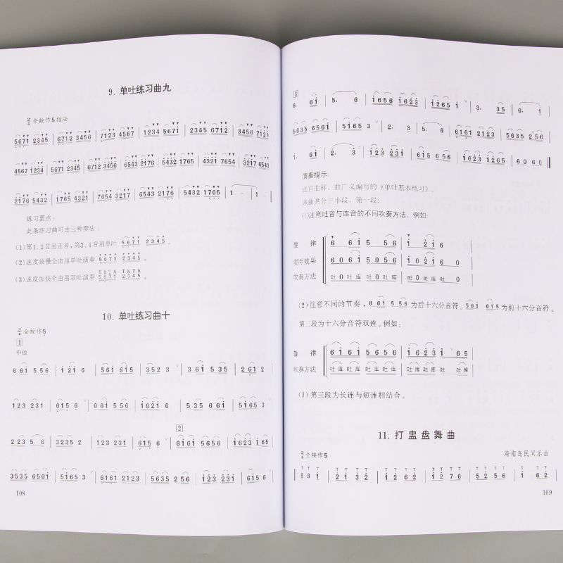 Bambini adulti Adolescenti Diz - Musical Instrument In Chinese recensione e prezzo