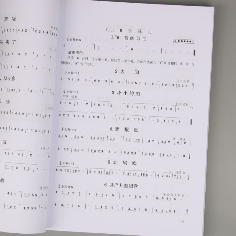 Bambini adulti Adolescenti Diz - Musical Instrument In Chinese recensione e prezzo
