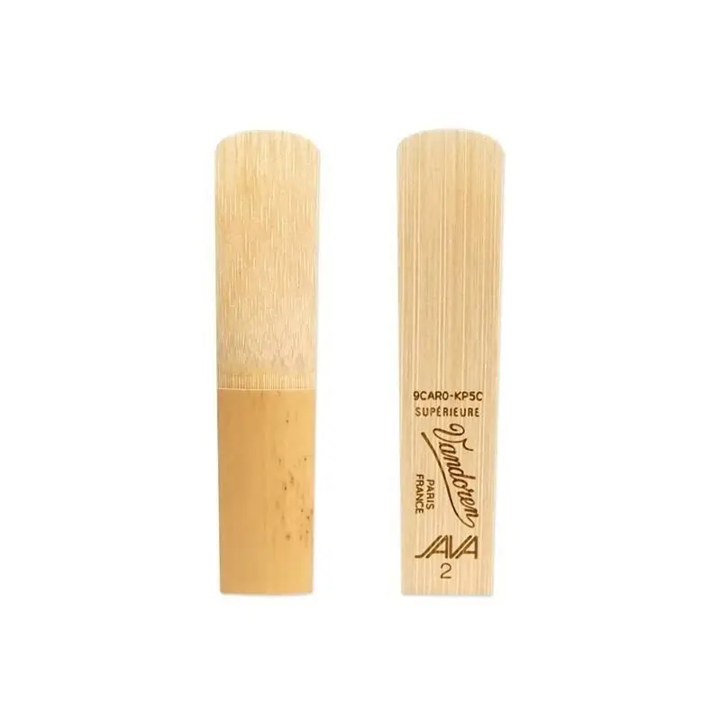 Reed di alta qualità per sasso - Musical Instrument Reed recensione e prezzo